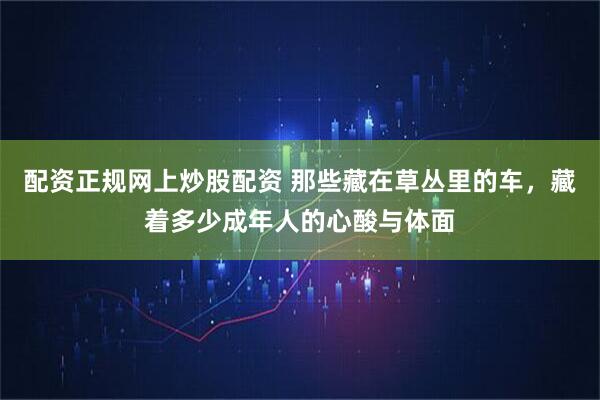配资正规网上炒股配资 那些藏在草丛里的车，藏着多少成年人的心酸与体面